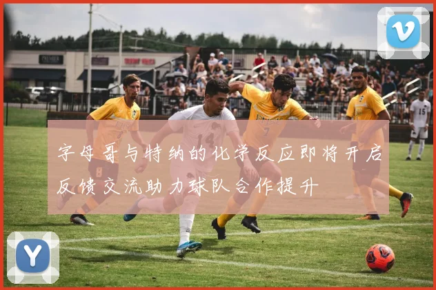 字母哥与特纳的化学反应即将开启反馈交流助力球队合作提升