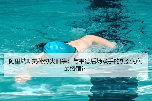 阿里纳斯揭秘热火旧事：与韦德后场联手的机会为何最终错过 | leyu